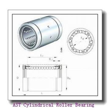AST NJ405 M Cylindrical Roller Bearing