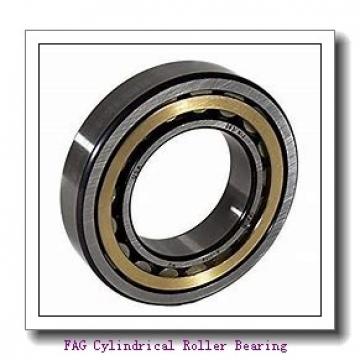 FAG NJ410-M1 + HJ410 Cylindrical Roller Bearing