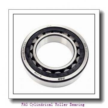 FAG NN3013-AS-K-M-SP Cylindrical Roller Bearing