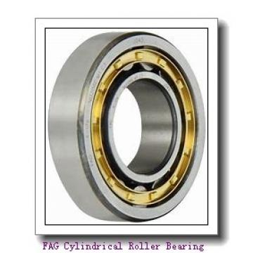 FAG NJ320-E-TVP2 Cylindrical Roller Bearing