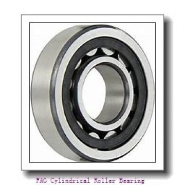 FAG NJ320-E-TVP2 Cylindrical Roller Bearing