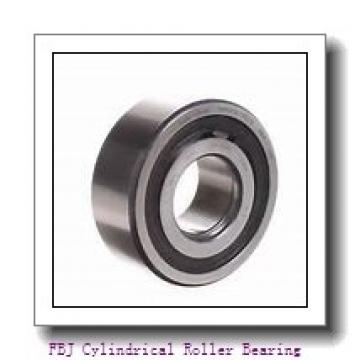 FBJ NF417 Cylindrical Roller Bearing