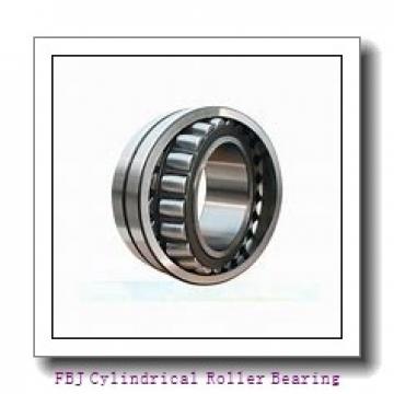 FBJ NF417 Cylindrical Roller Bearing