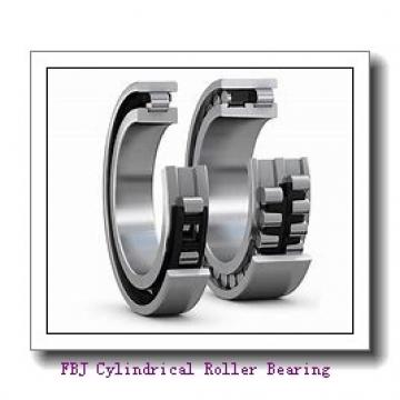 FBJ NJ313 Cylindrical Roller Bearing