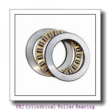 FBJ NJ219 Cylindrical Roller Bearing