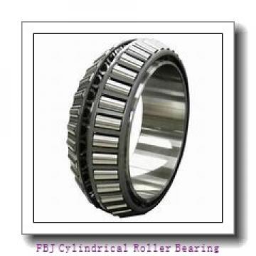 FBJ NJ2315 Cylindrical Roller Bearing