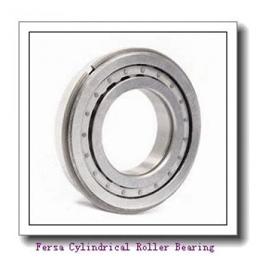 Fersa F19014 Cylindrical Roller Bearing