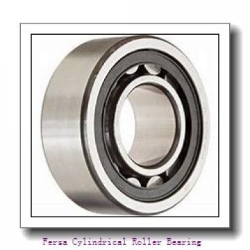 Fersa NJ305F Cylindrical Roller Bearing