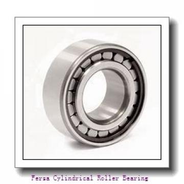 Fersa F19071 Cylindrical Roller Bearing