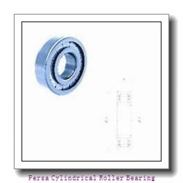 Fersa F19002 Cylindrical Roller Bearing