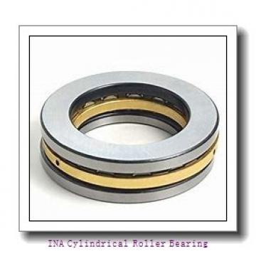 INA F-229056.1-60 Cylindrical Roller Bearing