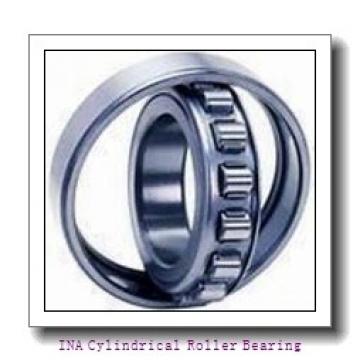 INA F-216642.1 Cylindrical Roller Bearing - Cylindrical Roller 