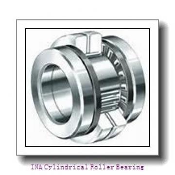 INA NN3048-AS-K-M-SP Cylindrical Roller Bearing
