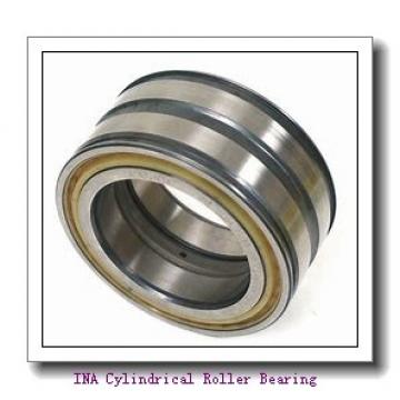 INA LSL192317 Cylindrical Roller Bearing