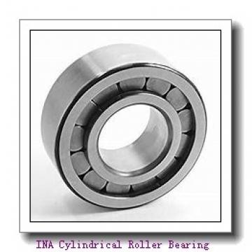 INA F-93435.2 Cylindrical Roller Bearing