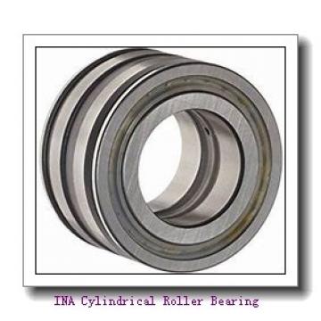INA F-216642.6 Cylindrical Roller Bearing