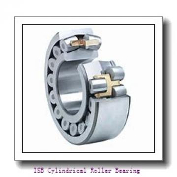 ISB NN 49/1000 W33X Cylindrical Roller Bearing