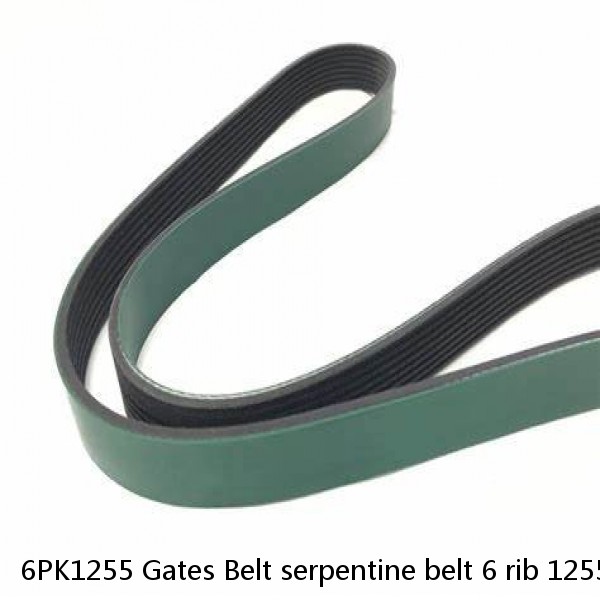 6PK1255 Gates Belt serpentine belt 6 rib 1255 mm (49.5") in length