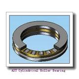 AST NJ313 EM Cylindrical Roller Bearing