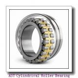 AST NJ307 E Cylindrical Roller Bearing