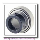 AST NJ310 EM Cylindrical Roller Bearing