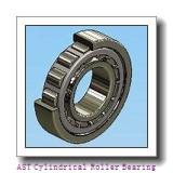 AST NJ314 EM6 Cylindrical Roller Bearing