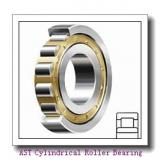 AST NJ310 E Cylindrical Roller Bearing