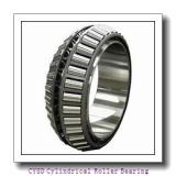 CYSD NJ318E Cylindrical Roller Bearing