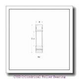 CYSD NJ317E Cylindrical Roller Bearing