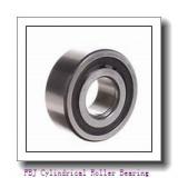 FBJ NJ213 Cylindrical Roller Bearing