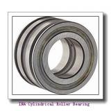 INA F-561309/F-236820 Cylindrical Roller Bearing