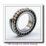 ISB NN 3064 K/SPW33 Cylindrical Roller Bearing