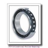 NTN NN3005C1NAP4 Cylindrical Roller Bearing