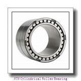 NTN NN3006C1NAP4 Cylindrical Roller Bearing