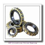 SKF NJG2334VH Cylindrical Roller Bearing