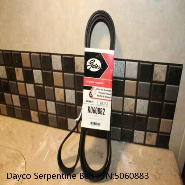 Dayco Serpentine Belt P/N:5060883